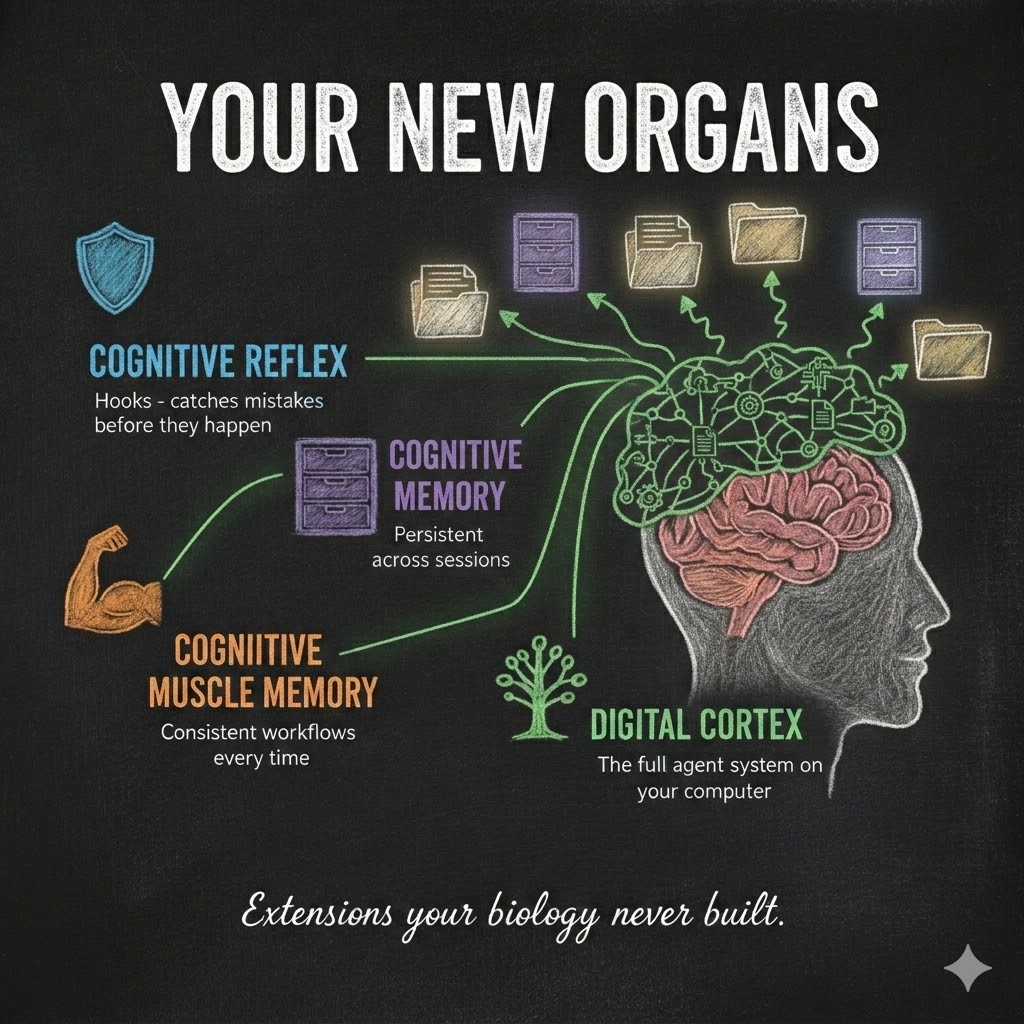 Digital cognitive organs — reflexes, memory tissue, and muscle memory — extensions your biology never built.